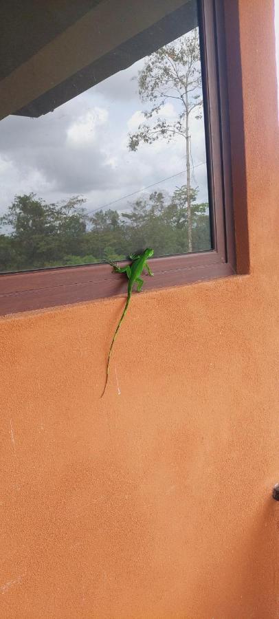Green Leaf House La Fortuna Exterior foto